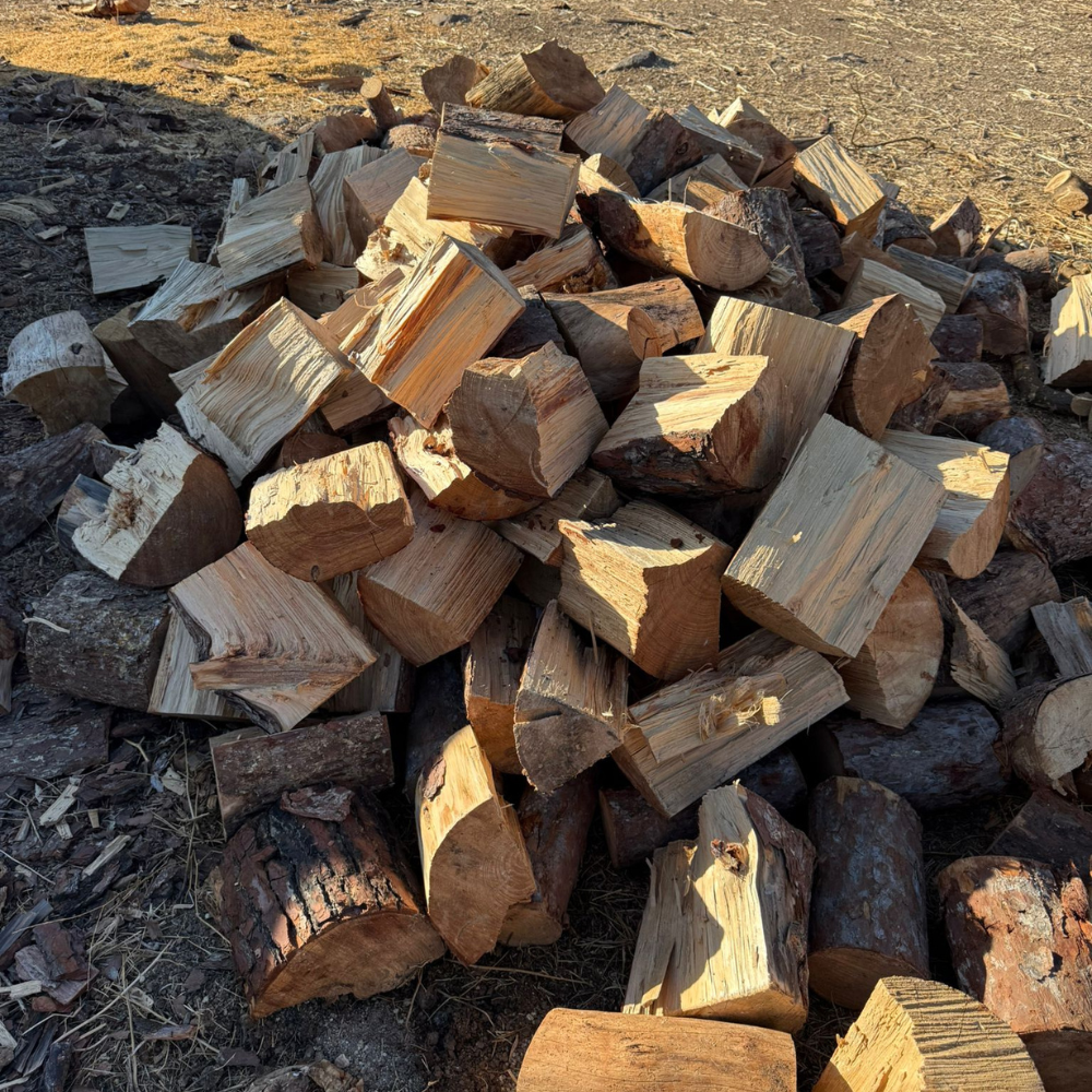 החבילה הפופולרית ביותר שלנו